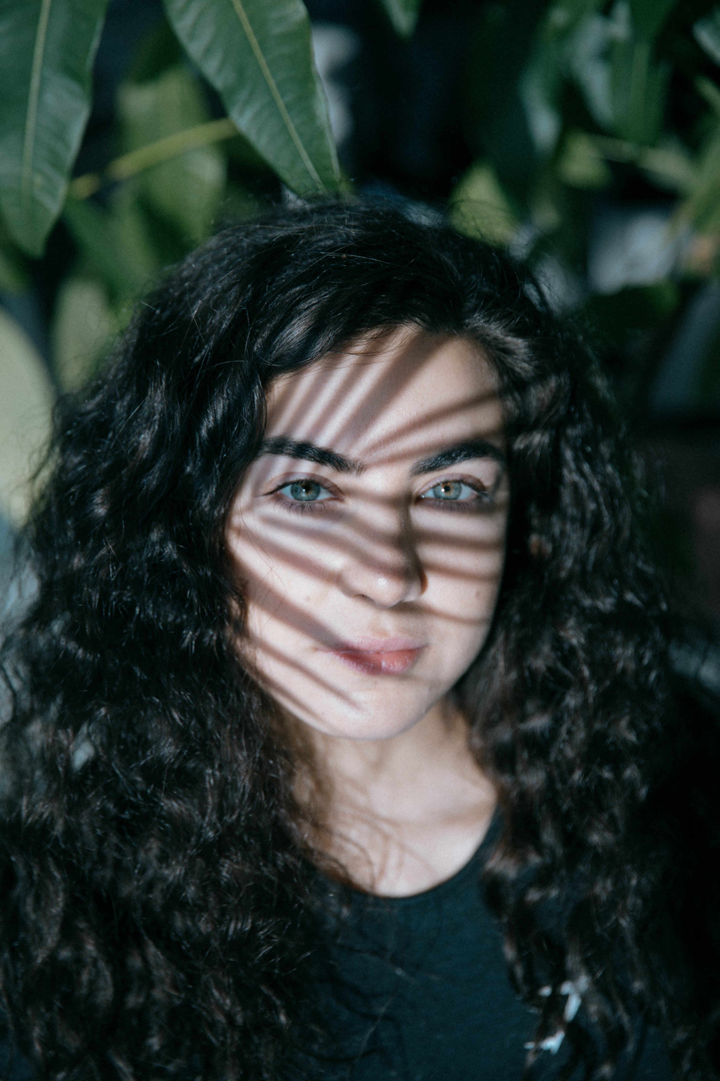 files/face-of-a-person-with-a-plant-casting-a-shadow-on-them.jpg